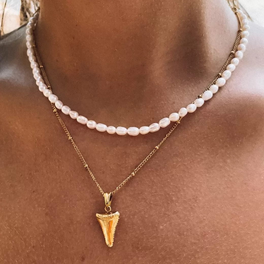 Shark Tooth Necklace^Atolea Jewelry New